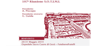 107a Riunione S.O.T.I.M.I.